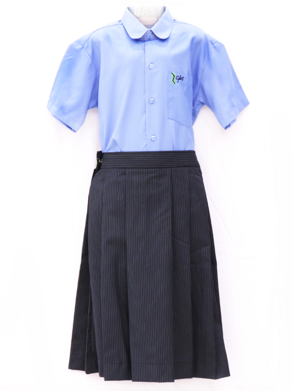 N-Blue Stripe Skirt (Box Pleated) For STD. VI to X Girls